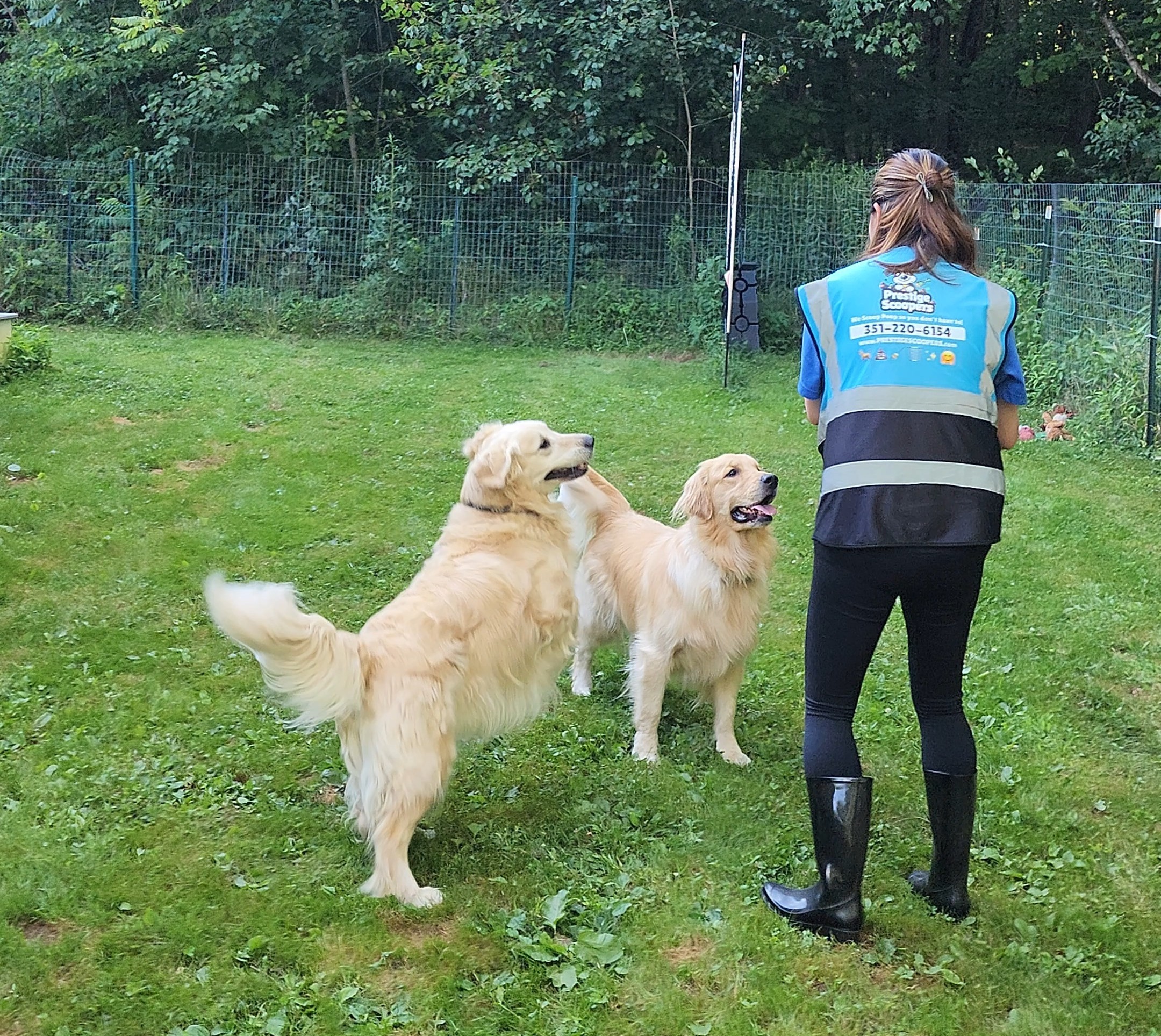 Residential yard cleanup