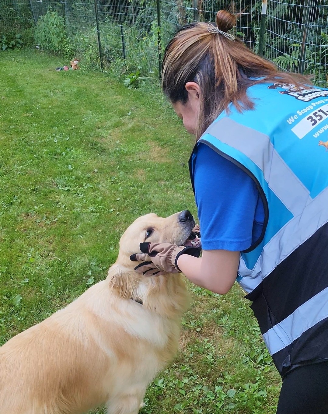 Professional pooper scooper service in Central MA